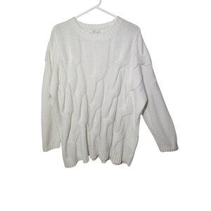 J Jill Chenille Ivory Long Sleeve Pullover Sweater Oversize Boxy Fit Soft L NWOT